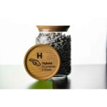 Hybrid Supreme Aktivkohlefilter 1'000er Glas